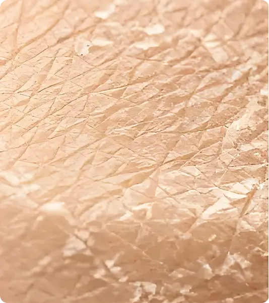 Textura de piel opaca y áspera