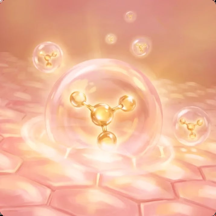 The Full Essence